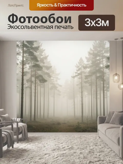 Фотообои Туманный сосновый лес