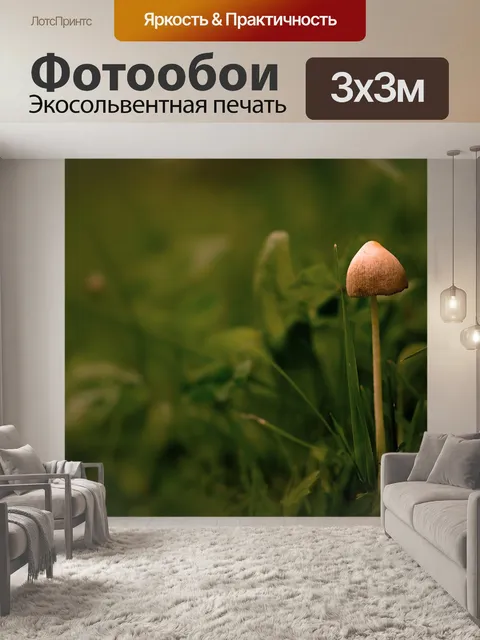 Фотообои Гриб