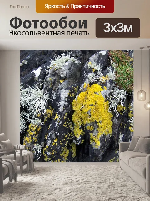 Фотообои Морской берег