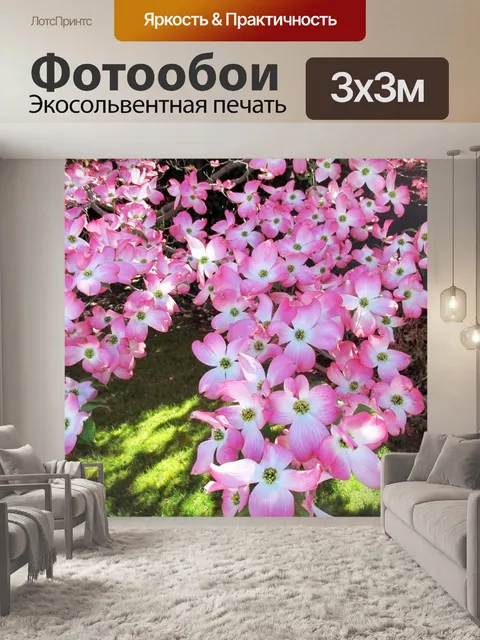 Фотообои Дерево