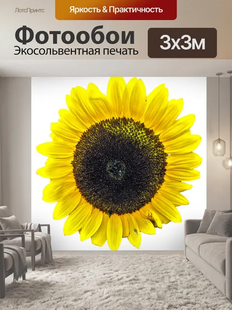 Фотообои Подсолнух