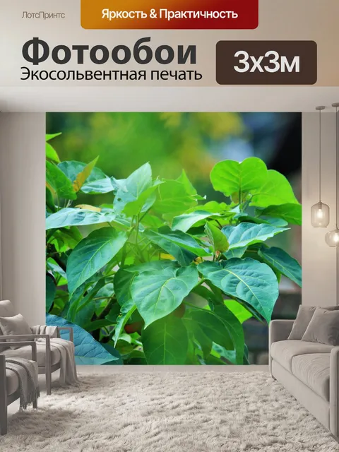 Фотообои дерево томатный со светом на листьях