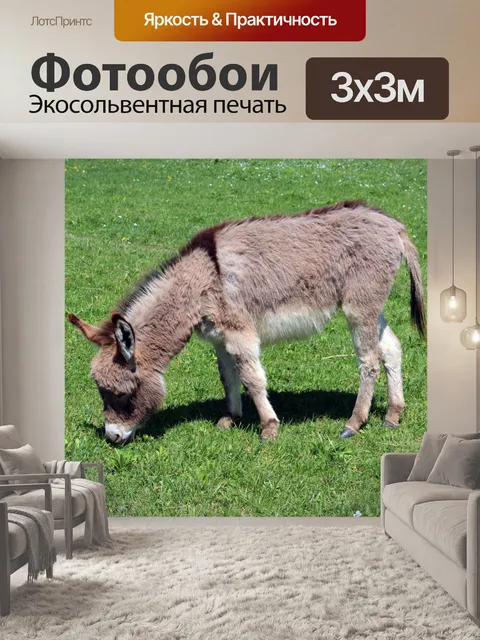 Фотообои Темно-русый Осел