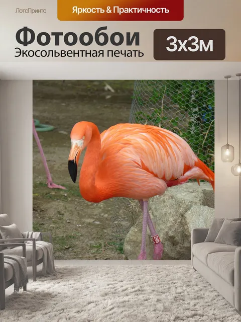 Фотообои Розовые фламинго