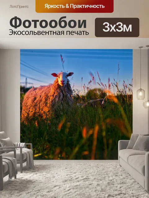Фотообои Овец