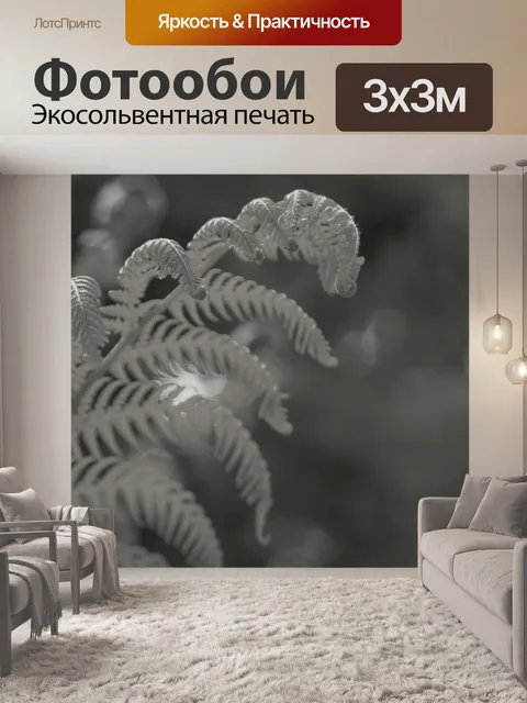 Фотообои папоротник