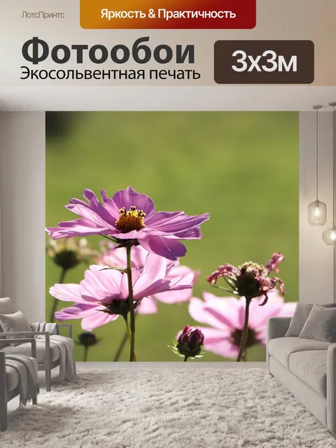 Фотообои Космос
