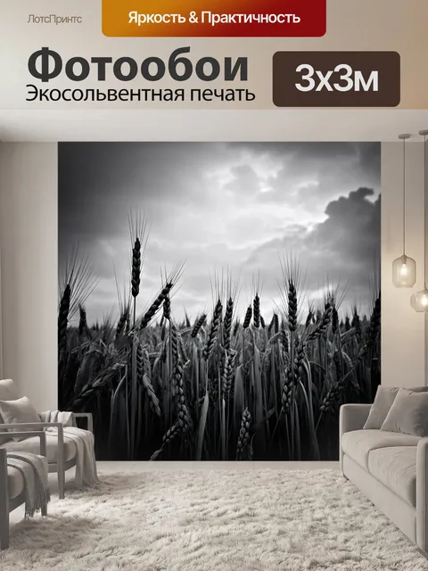 Фотообои Мрачное поле пшеницы с высокими колосьями на фоне облачного неба