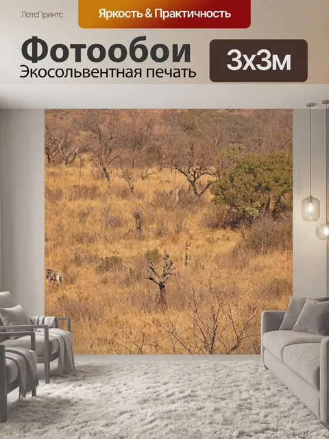 Фотообои зебра в зимнем африканском пейзаже