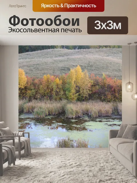 Фотообои Осенние краски на болоте