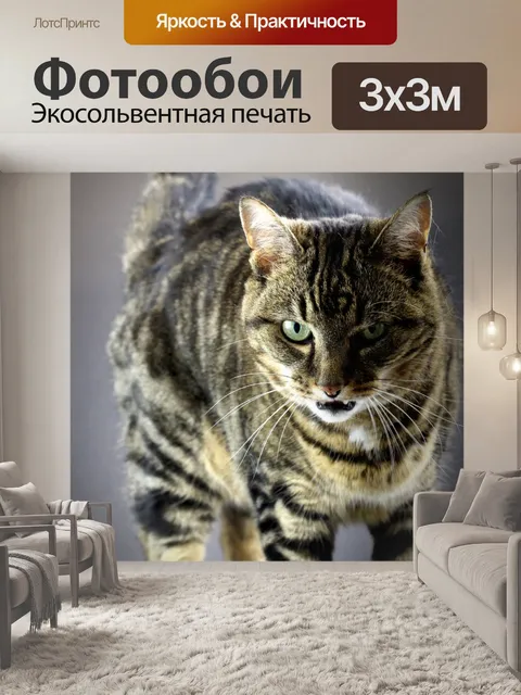 Фотообои Полосатый кот рычал