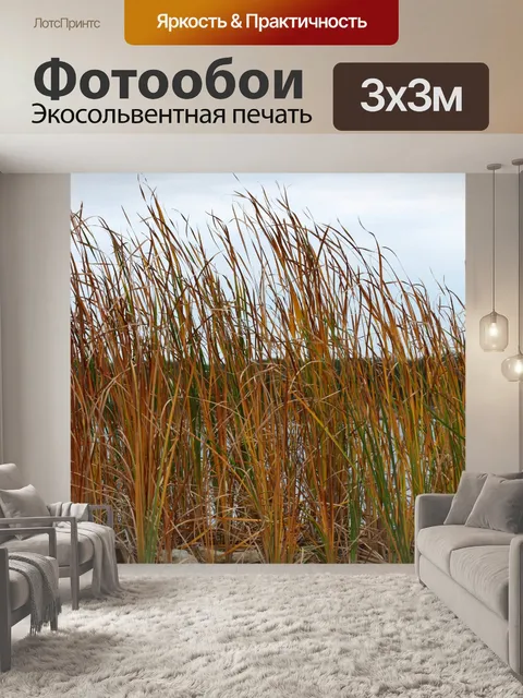 Фотообои Рогоз на пляже осенью