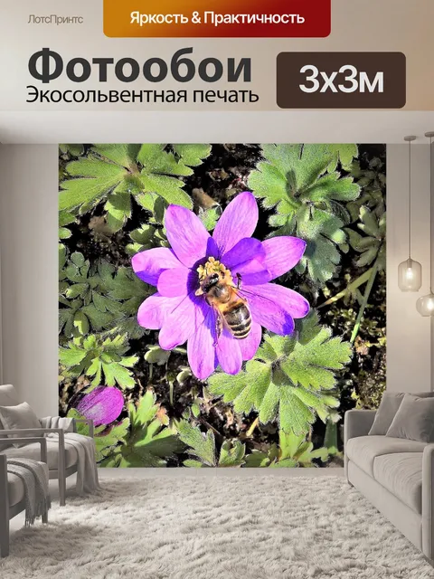 Фотообои Цветок