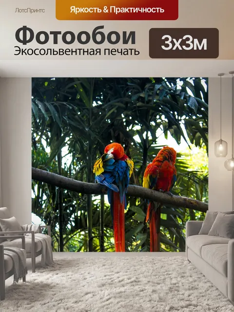 Фотообои Ара