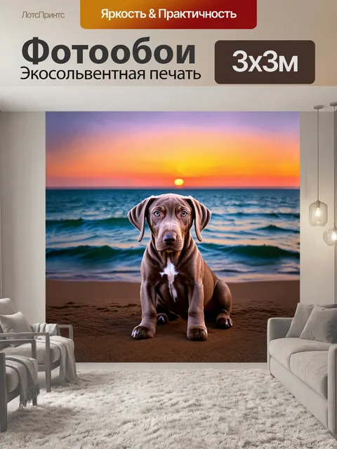 Фотообои щенок веймаранера, застывший в ожидании на фоне яркого заката над океаном