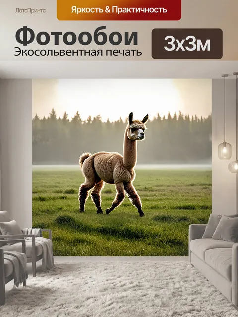 Фотообои альпака с длинной шеей, грациозно шагающая по залитому утренним туманом полю
