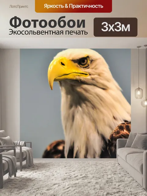 Фотообои Северный американский белоголовый орлан