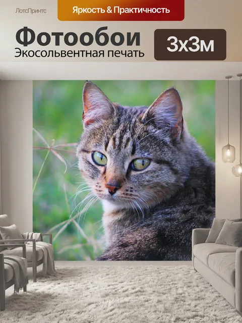 Фотообои Кошка
