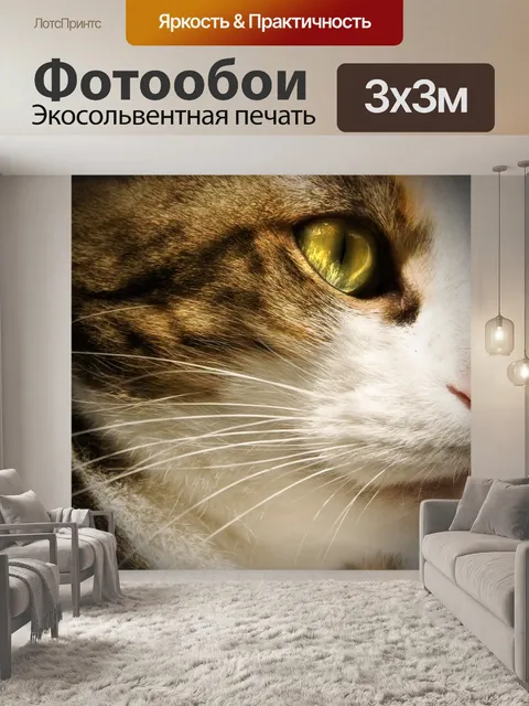 Фотообои Кот