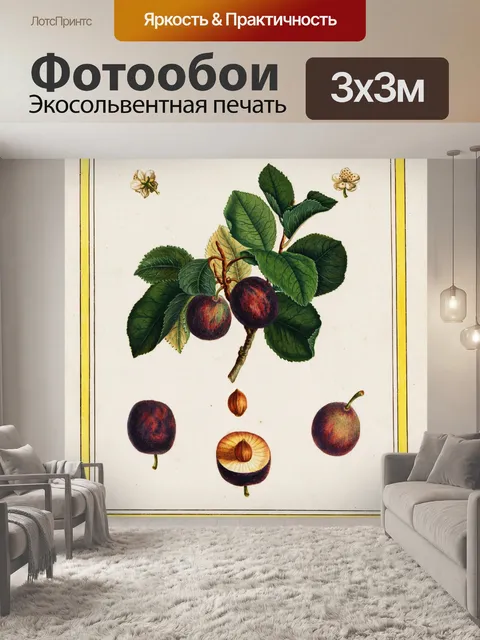 Фотообои Plum Vintage Ботанический Принт
