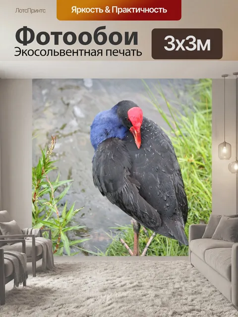 Фотообои дикая птица рядом с ручьем