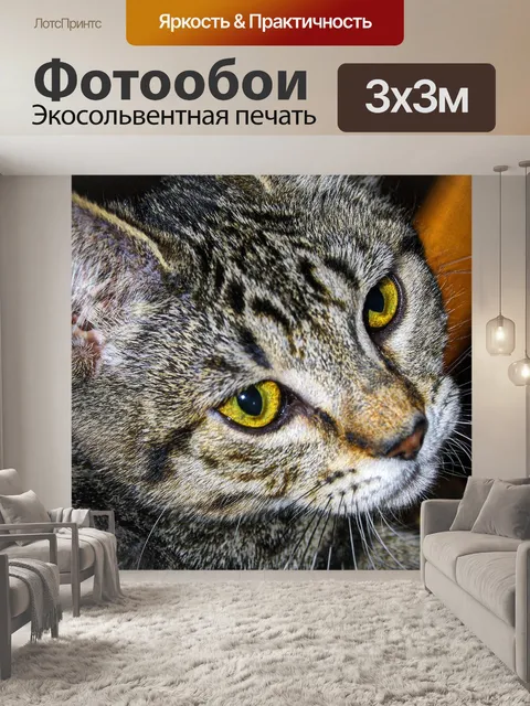Фотообои Полосатый