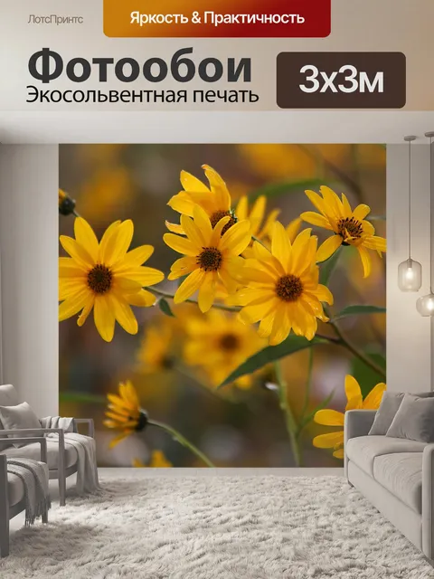 Фотообои Цветы эхинацеи желтые лепестки