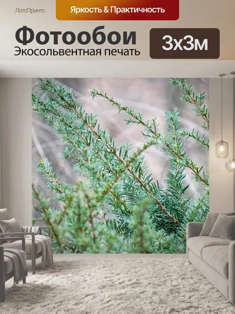 Фотообои Вечнозеленый