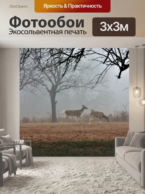 Фотообои Два оленя в утреннем тумане