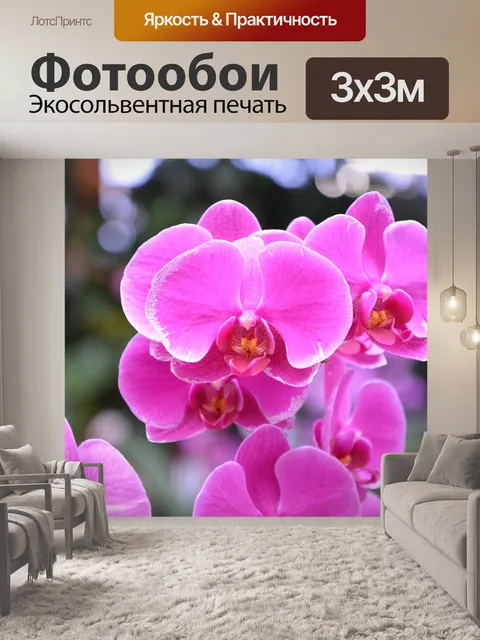 Фотообои Цветок орхидея