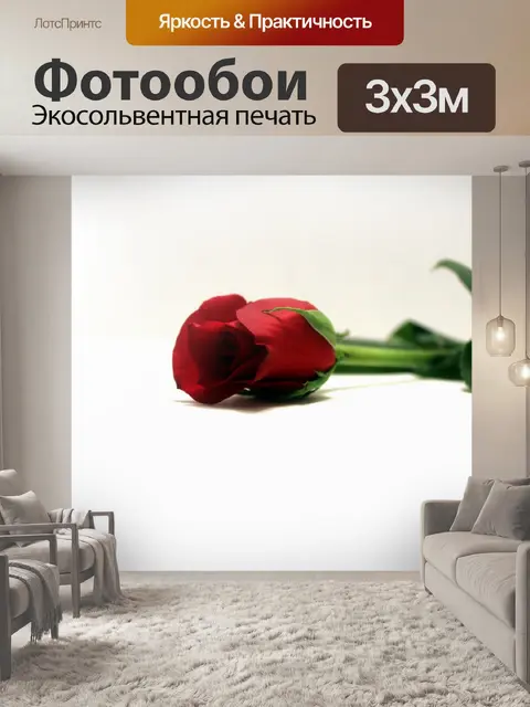 Фотообои Красная роза