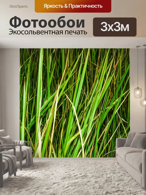 Фотообои Дикий цветок в Таиланде