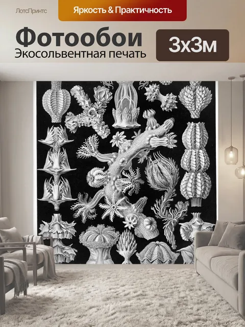 Фотообои Старинный старый Эрнст Геккель
