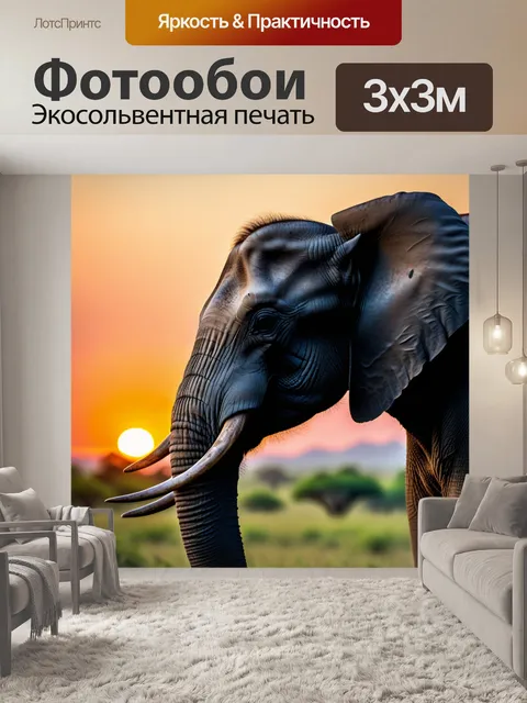Фотообои слон на фоне заката