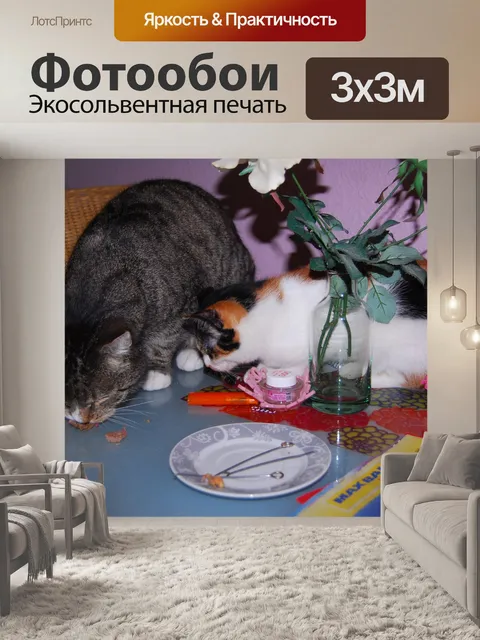Фотообои Воровка кошки