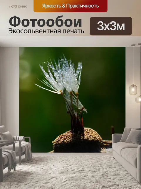 Фотообои Одуванчик