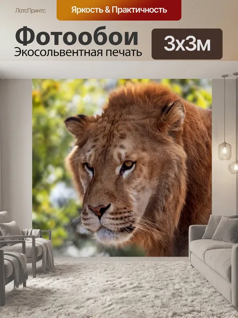 Фотообои Лев