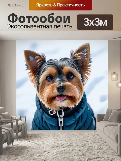 Фотообои йоркширский терьер в зимней одежде на снегу