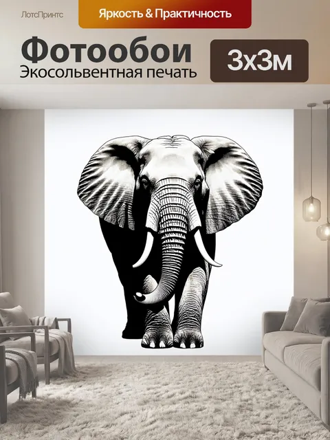 Фотообои животные в стиле минимализм с изображением слона, выполненное в черно-белой гамме