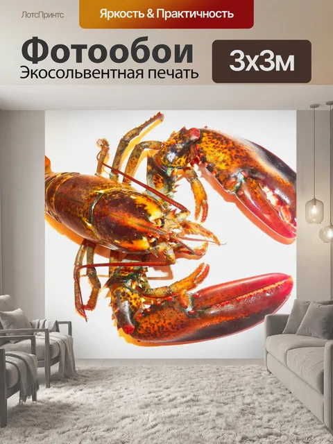 Фотообои Живой лобстер
