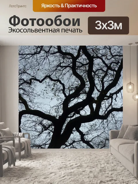 Фотообои Контраст