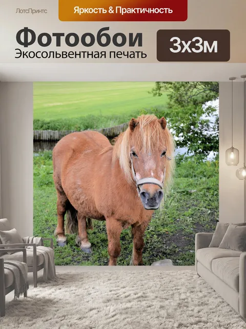 Фотообои Лошади и ферма пони