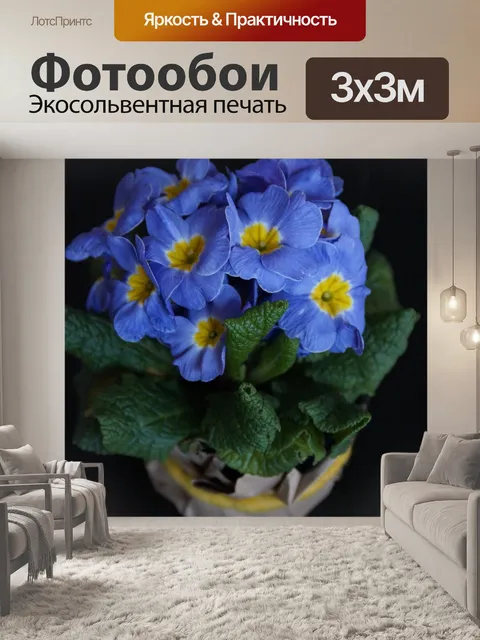 Фотообои Первоцветы