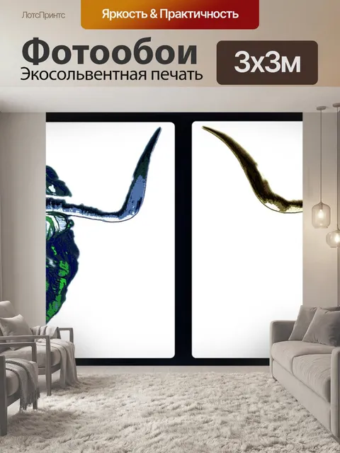 Фотообои Картина коровы Хайленд