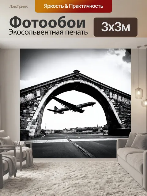 Фотообои самолет в черно-белом стиле, в обрамлении арки старинного моста