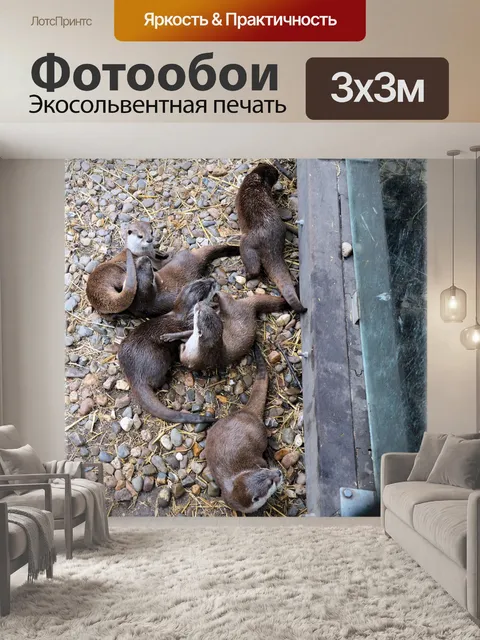 Фотообои Семья выдры 6
