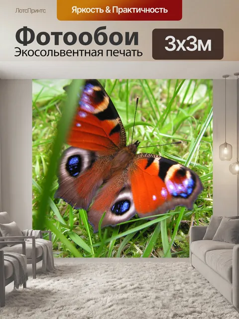 Фотообои Бабочка павлиний
