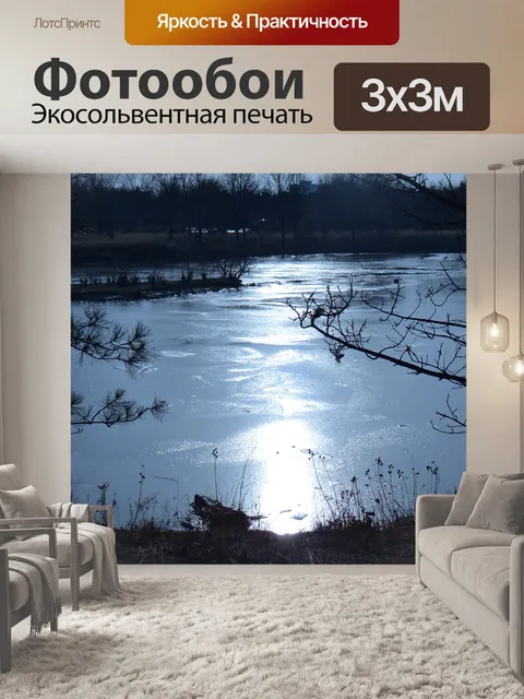 Фотообои Зима в озере