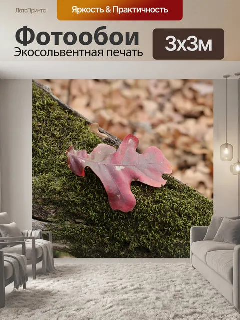 Фотообои Красный дубовый лист на мох