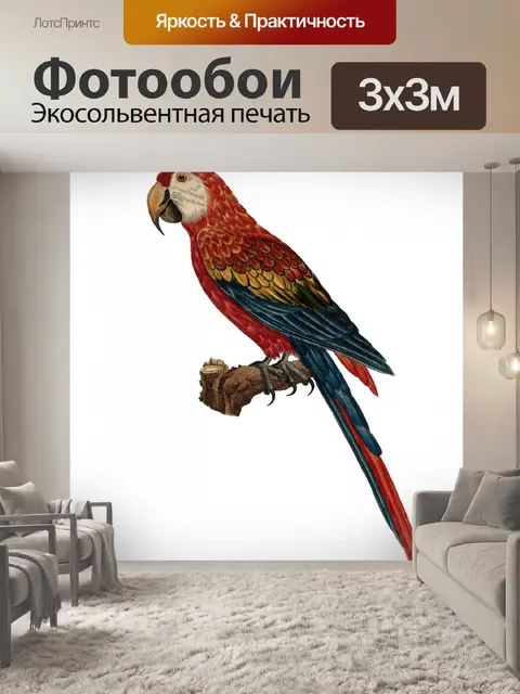 Фотообои Искусство Птицы Винтажный Ара